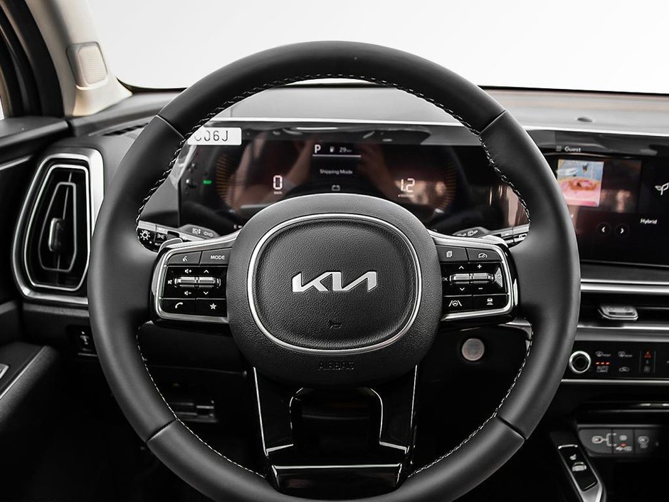 2025 Kia Sorento HEV EX-11