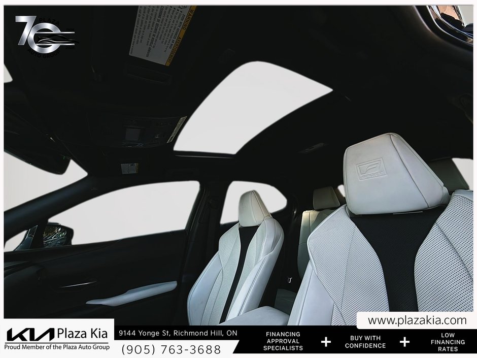 2022 Lexus UX 250h-19