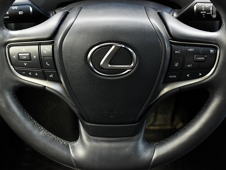 2024 Lexus UX 250h