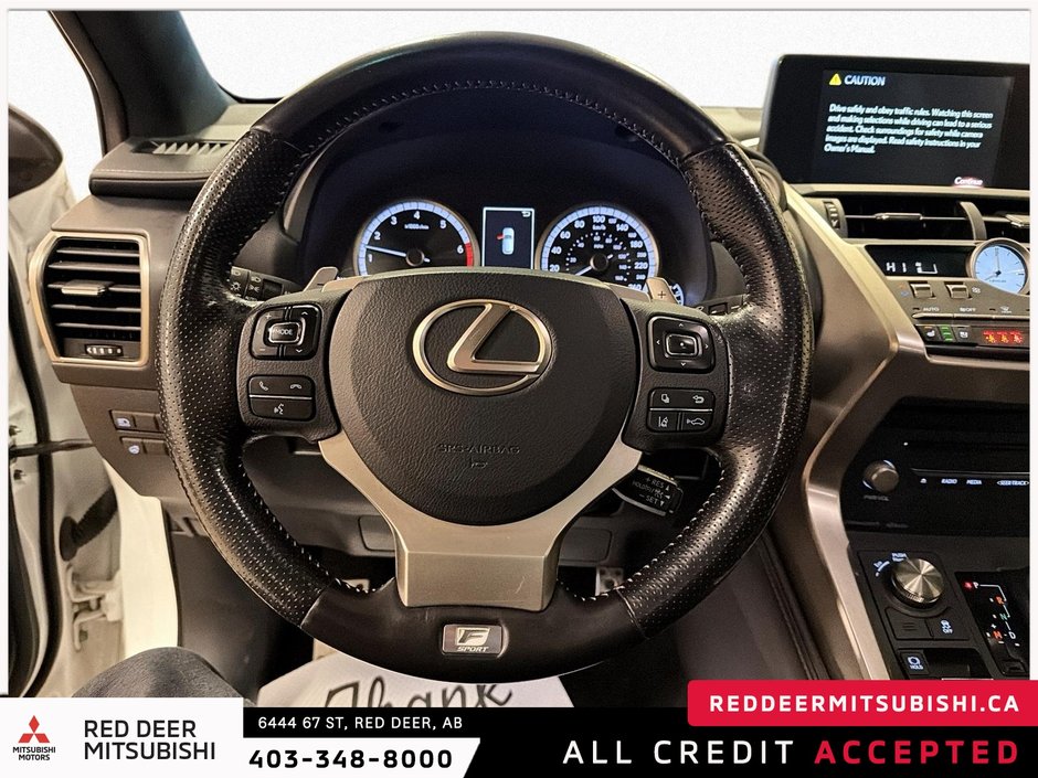 2019 Lexus NX 300 Base-15