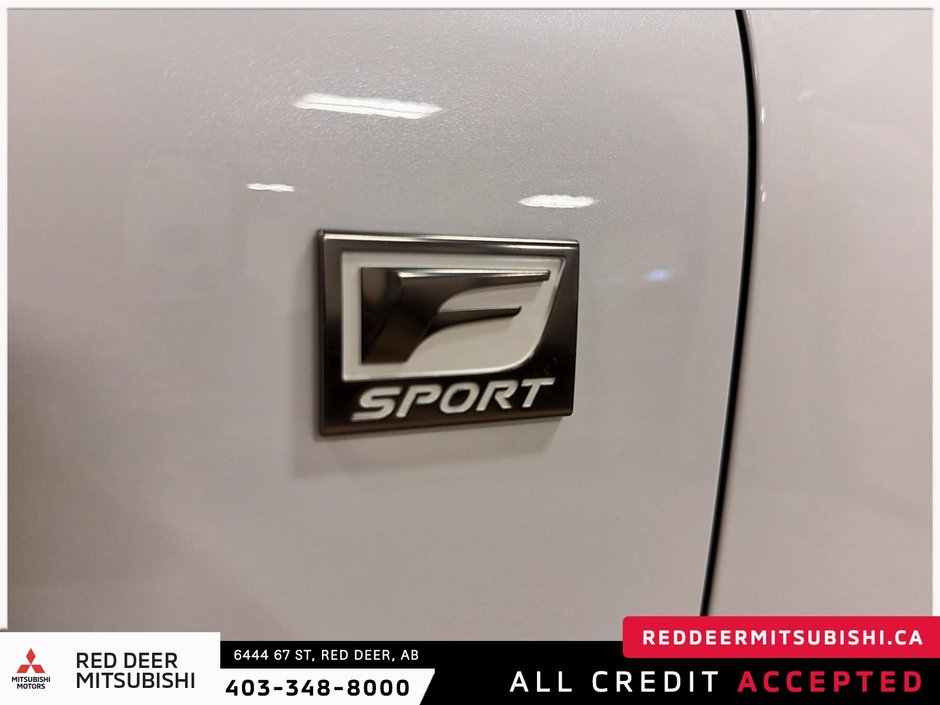 2019 Lexus NX 300 Base-8