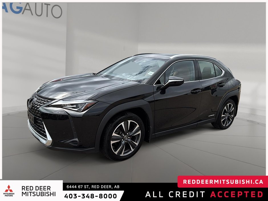 2021 Lexus UX 250h-0