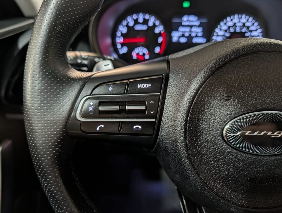 2019 Kia StingerPremium GT-Line AWD-12