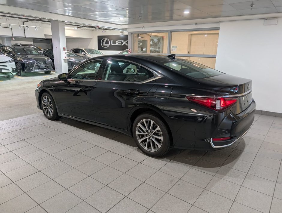 2023 Lexus ES 250 AWD-2