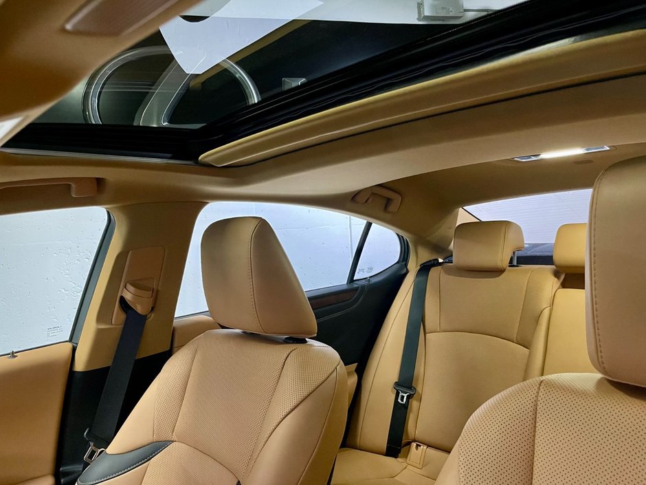 2023 Lexus ES 300h HYBRID F-SPORT DESIGN-22