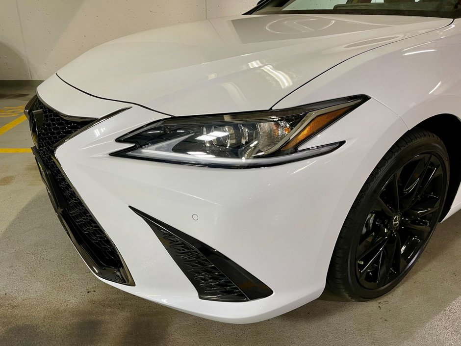 2023 Lexus ES 300h HYBRID F-SPORT DESIGN-1