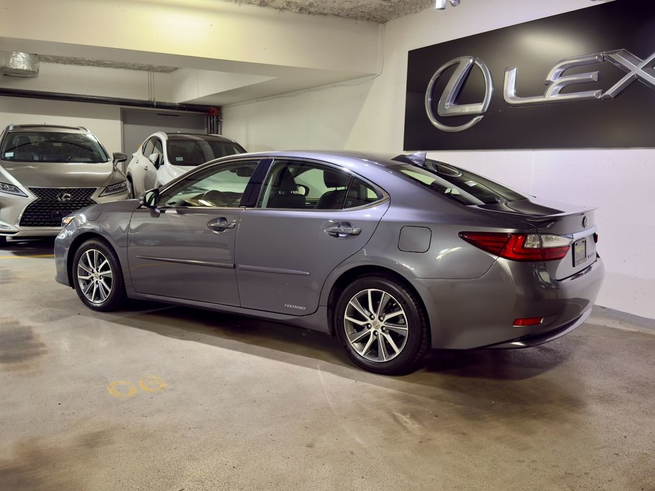 2017 Lexus ES300h HYBRID PREMIUM-5