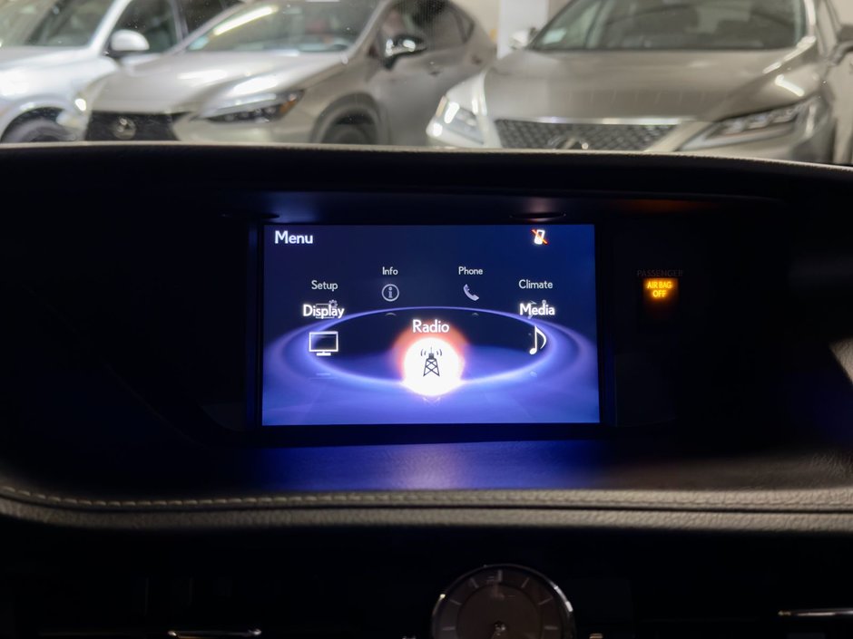 2017 Lexus ES300h HYBRID PREMIUM-17