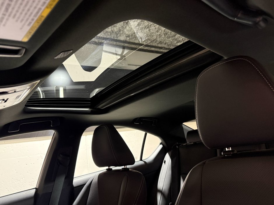 2023 Lexus IS 300 AWD IS 300-22