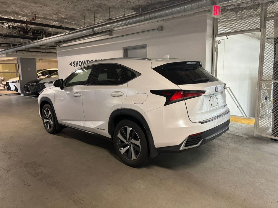 2018 Lexus NX 300h EXECUTIVE PACKAGE-3
