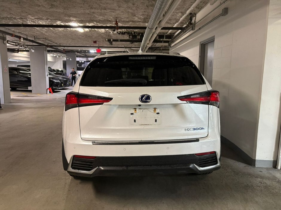 2018 Lexus NX 300h EXECUTIVE PACKAGE-2