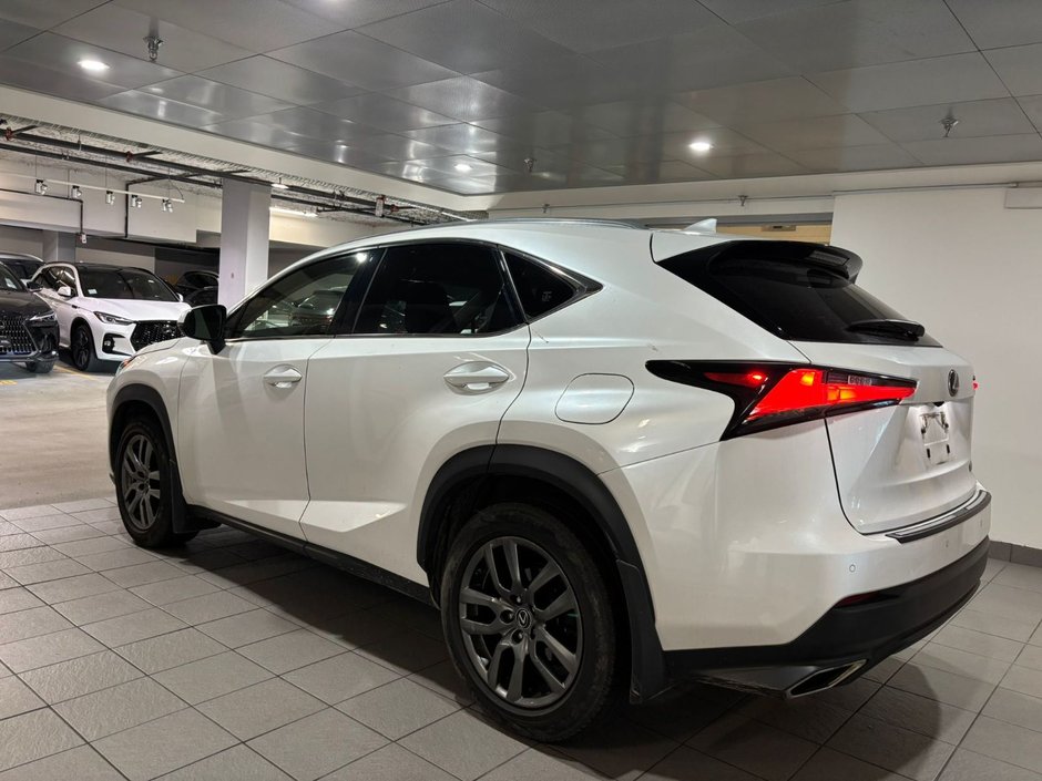 2019 Lexus NX 300-3