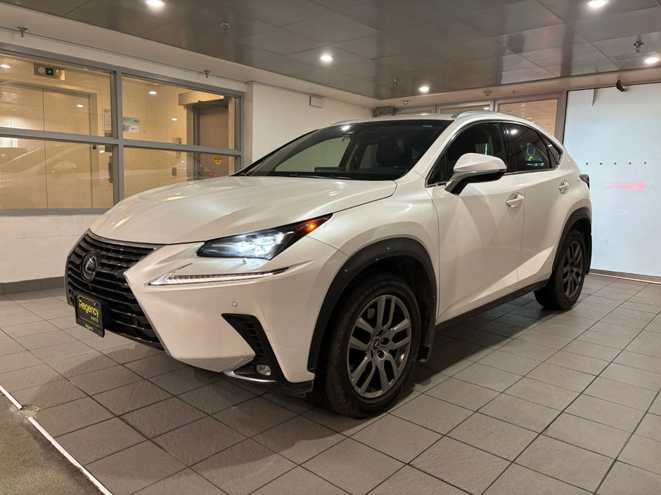 2019 Lexus NX 300-0