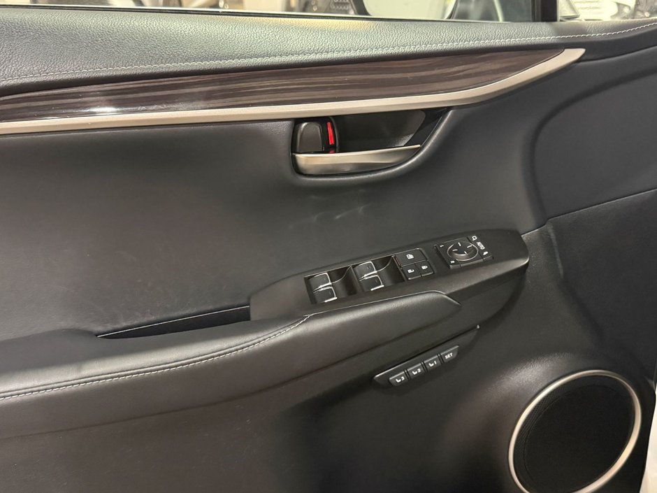 2019 Lexus NX 300-5