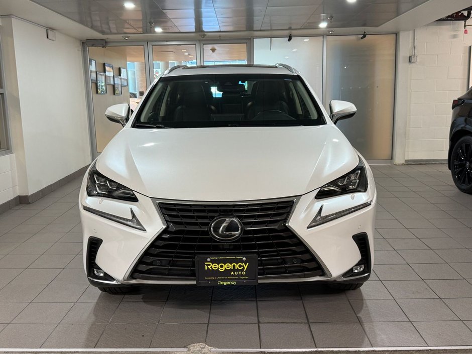 2019 Lexus NX 300-1