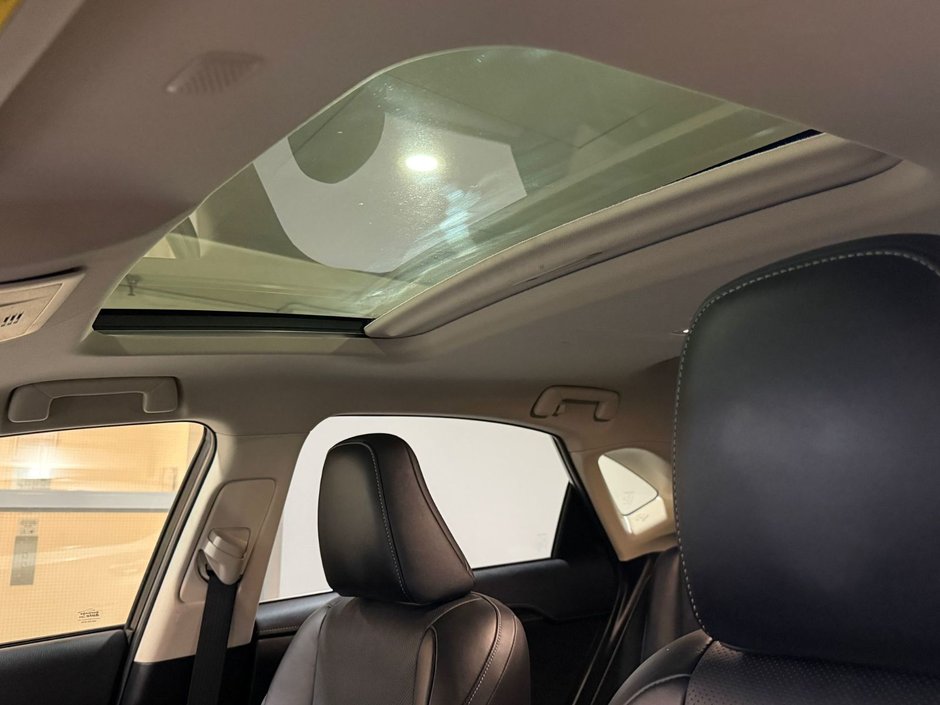 2019 Lexus NX 300-17
