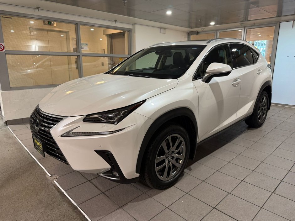 2019 Lexus NX 300-0