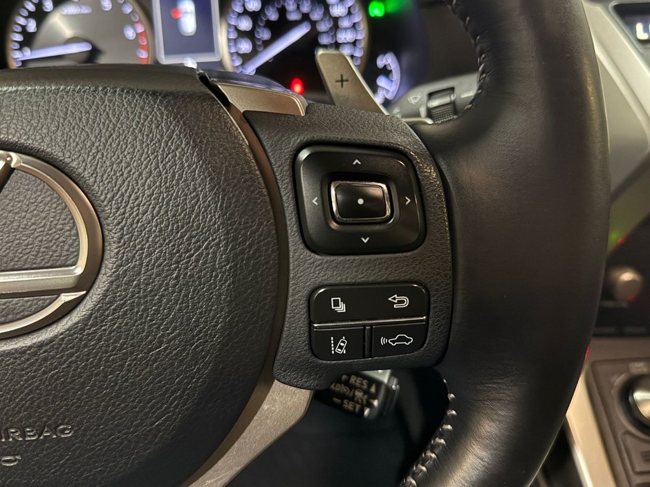 2019 Lexus NX 300-12