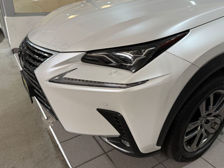 2019 Lexus NX 300-3