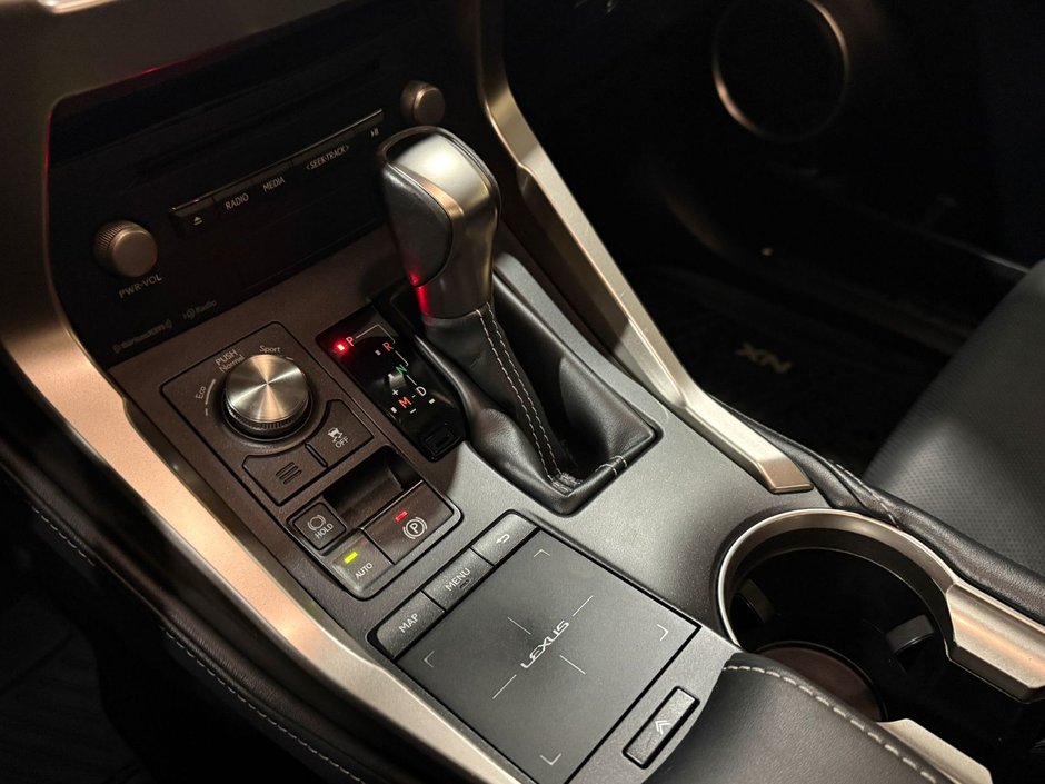 2019 Lexus NX 300-13