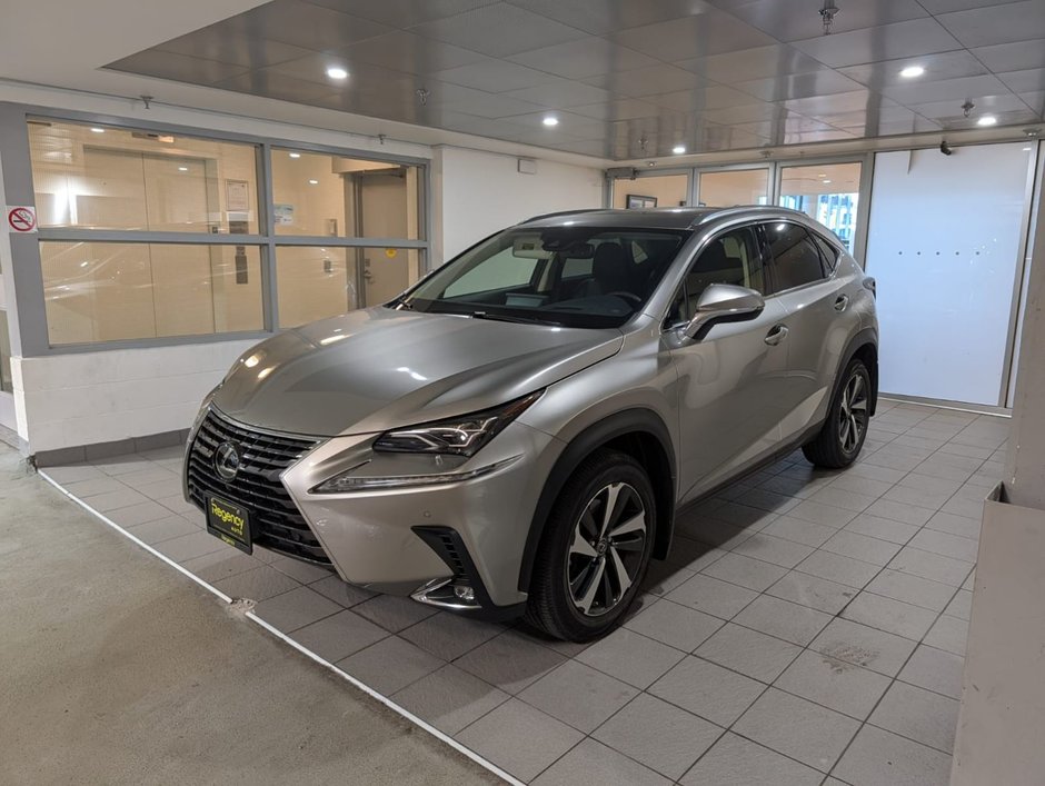 2020 Lexus NX 300-0