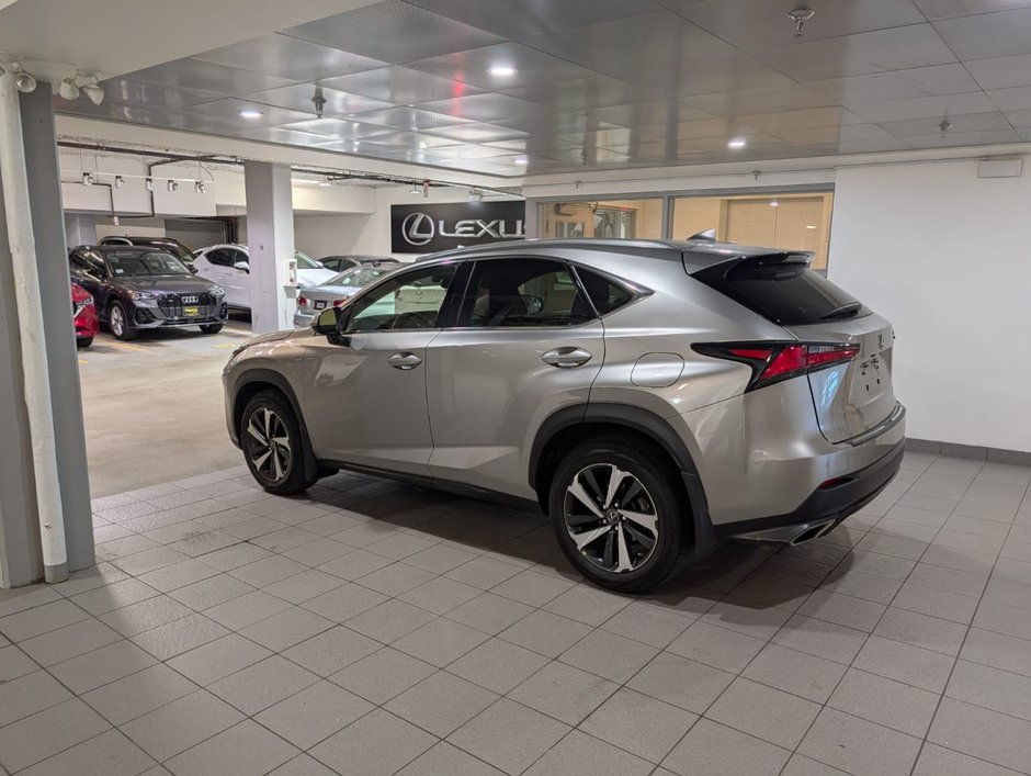2020 Lexus NX 300-2