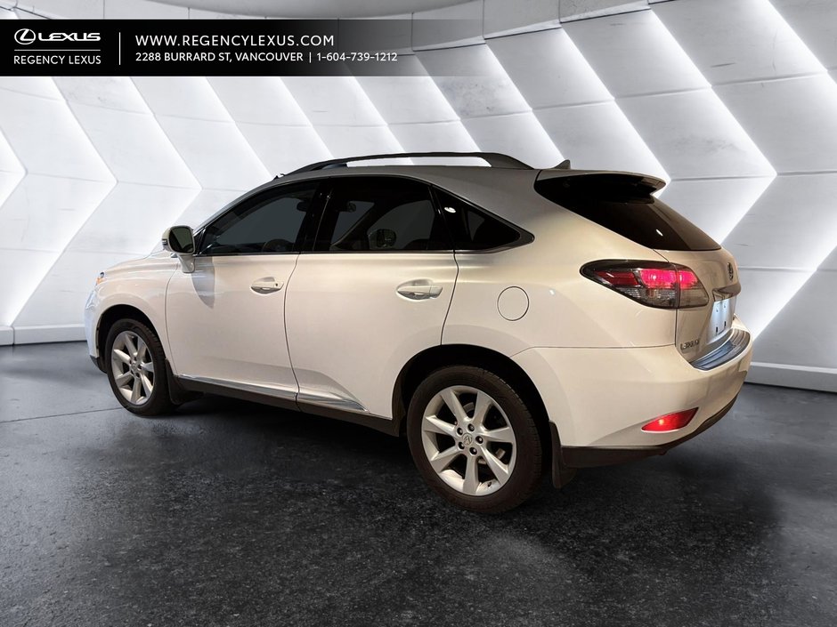 2010 Lexus RX-2