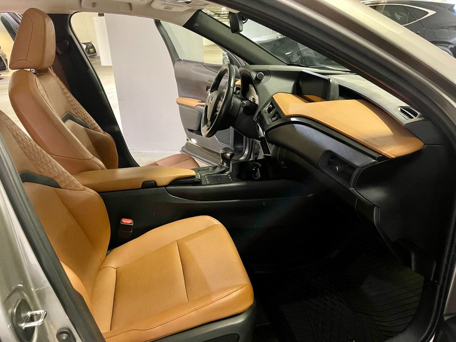 2019 Lexus UX 250h-7