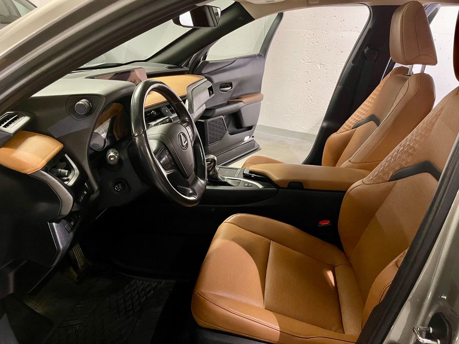 2019 Lexus UX 250h-10
