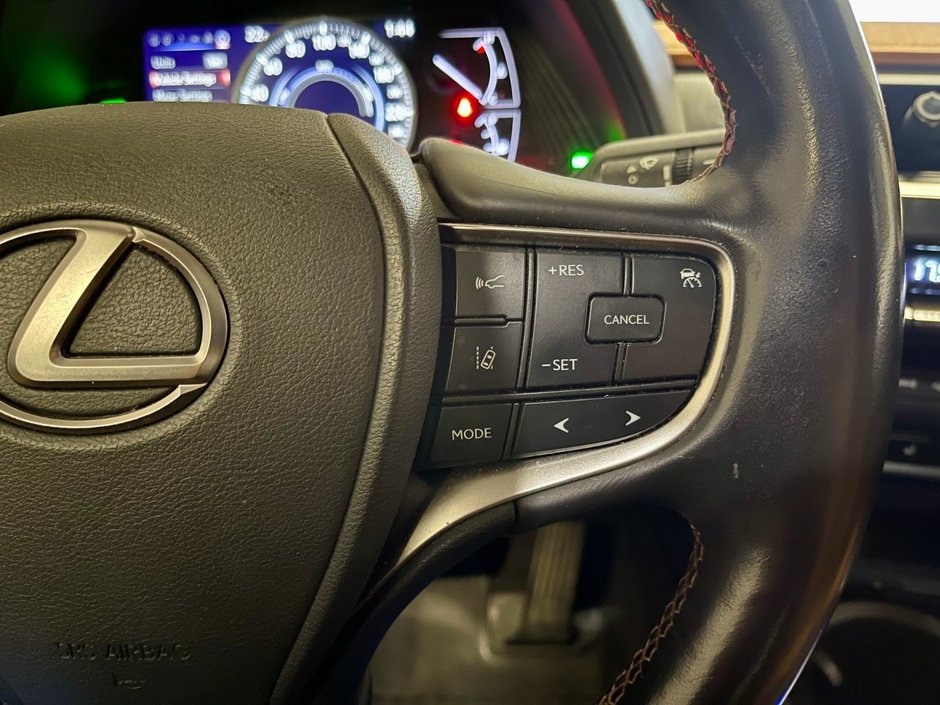 2019 Lexus UX 250h-16