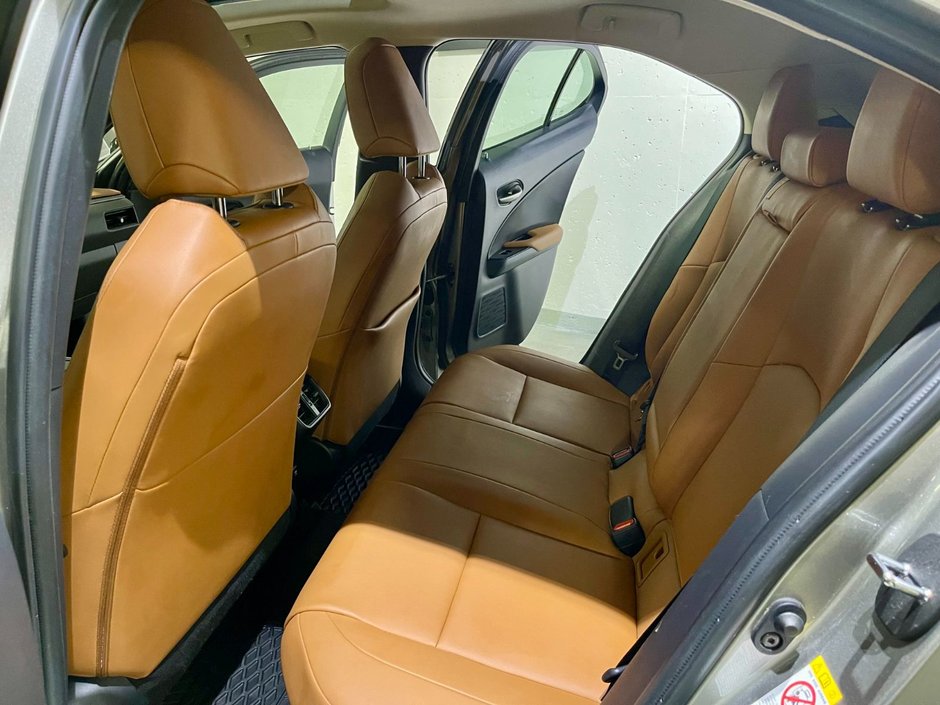 2019 Lexus UX 250h-9