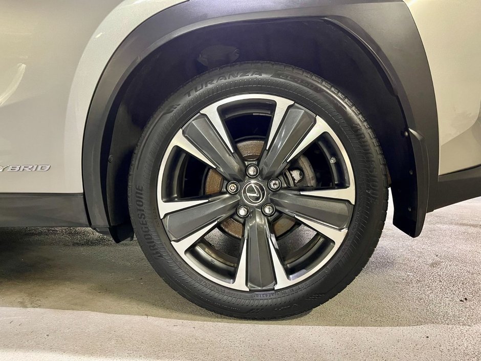 2019 Lexus UX 250h-6