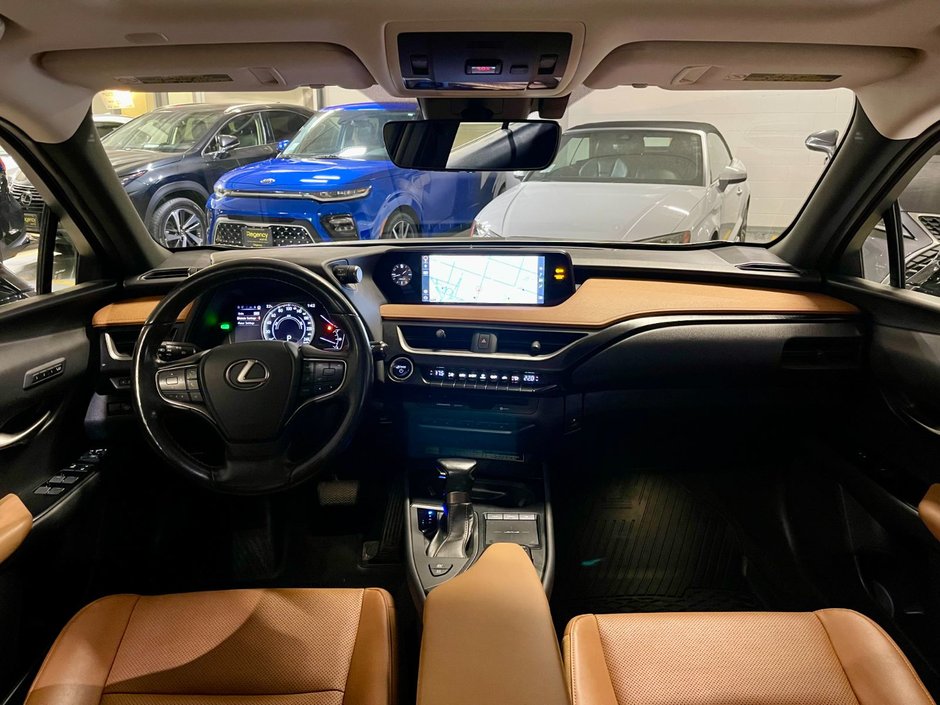 2019 Lexus UX 250h-13