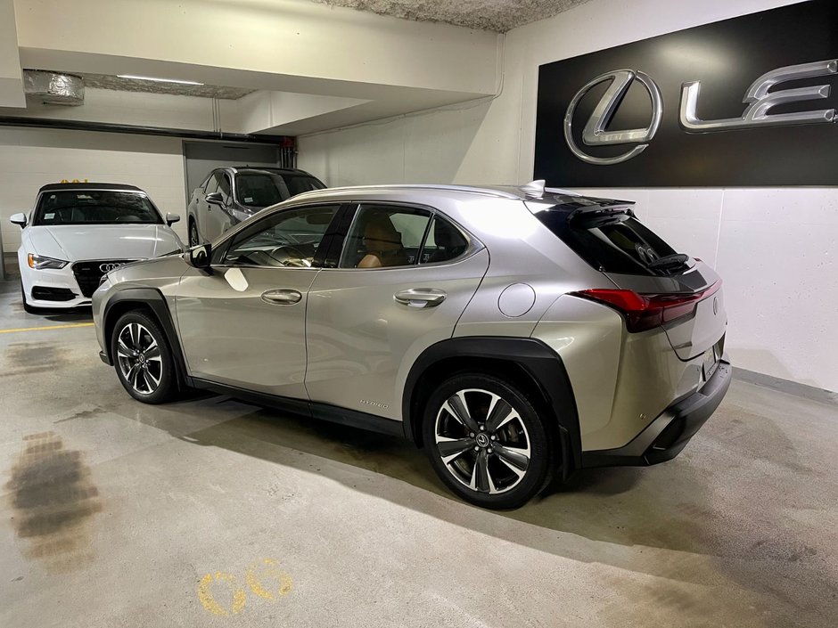 2019 Lexus UX 250h-5