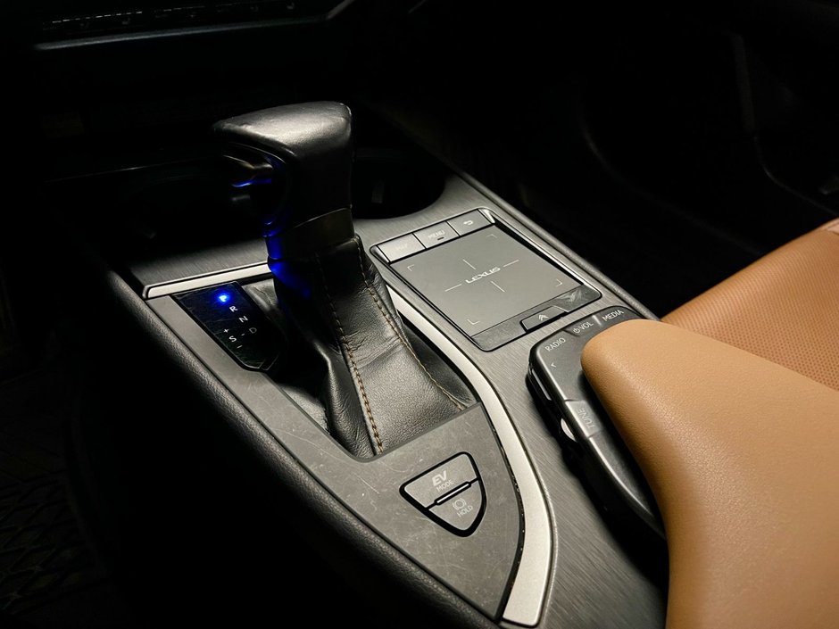 2019 Lexus UX 250h-18