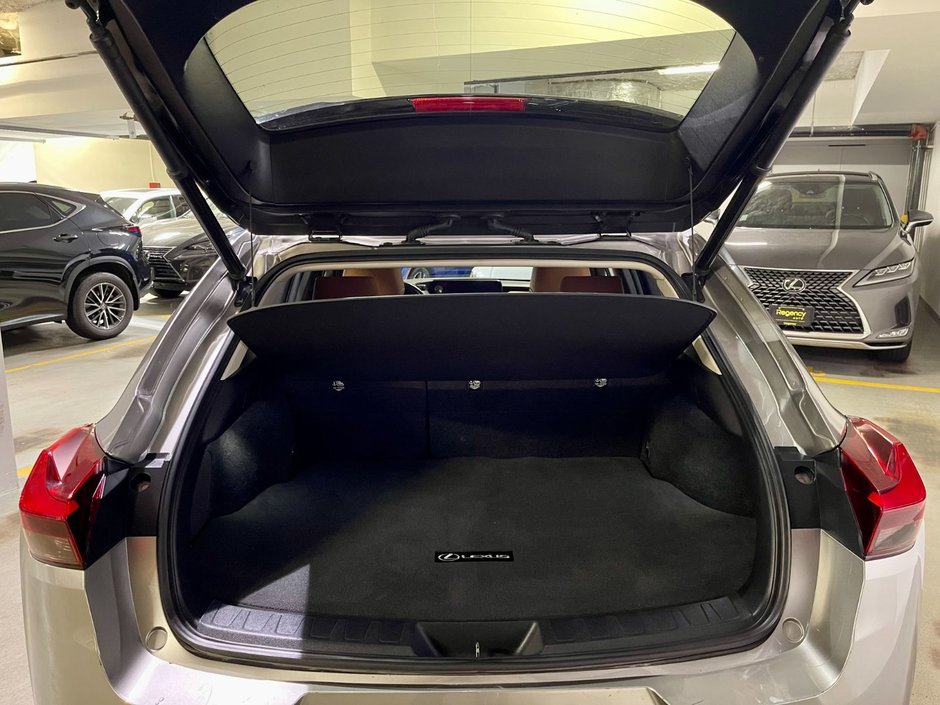 2019 Lexus UX 250h-11