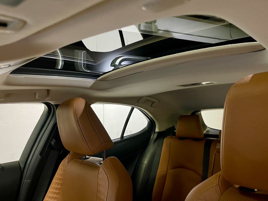 2019 Lexus UX 250h-22
