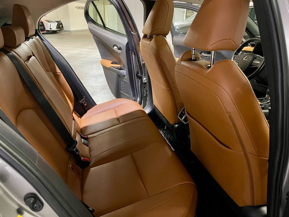 2019 Lexus UX 250h-8
