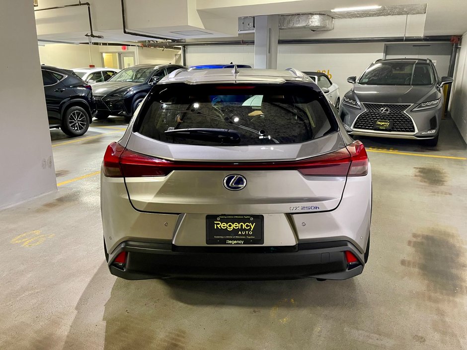 2019 Lexus UX 250h-4