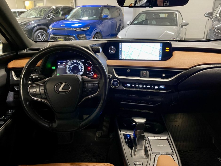 2019 Lexus UX 250h-14