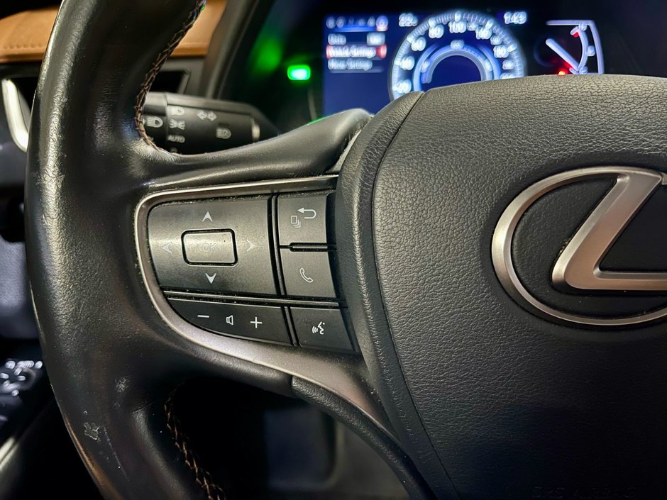 2019 Lexus UX 250h-15