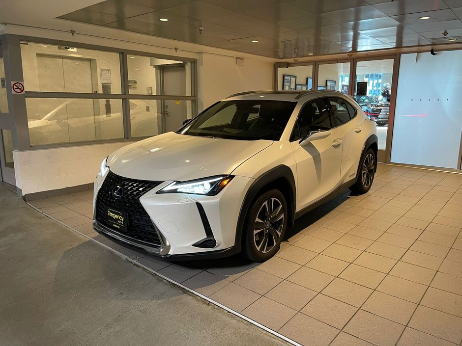 2020 Lexus UX-0