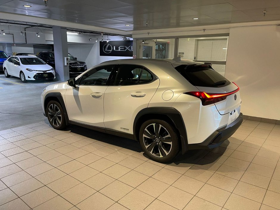 2020 Lexus UX-2