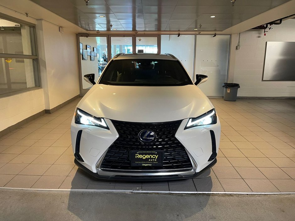 2020 Lexus UX-1