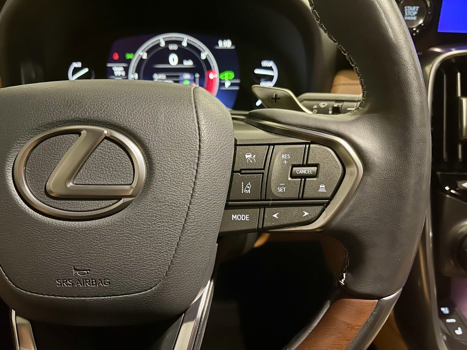 2023 Lexus LX 600 LUXURY PACKAGE-16