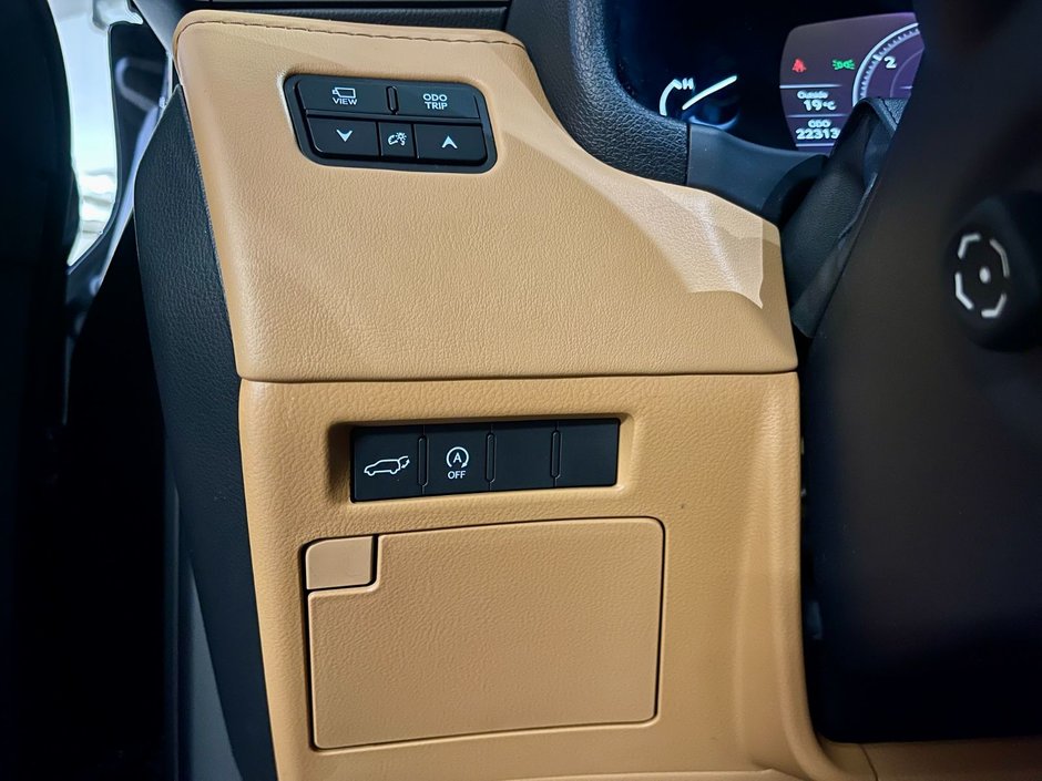 2023 Lexus LX 600 LUXURY PACKAGE-21