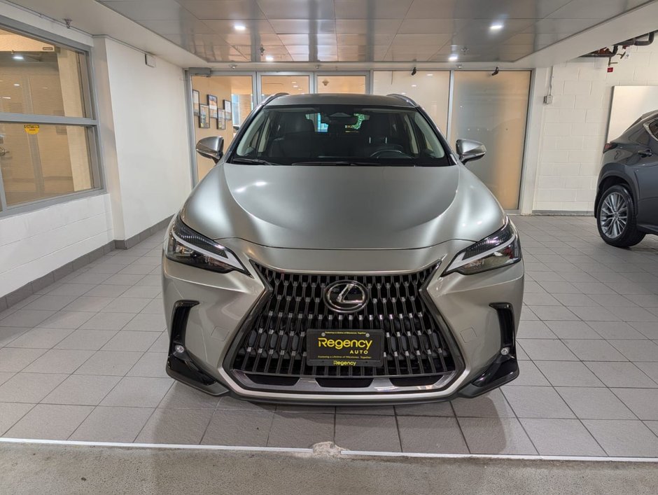 2022 Lexus NX 250-3