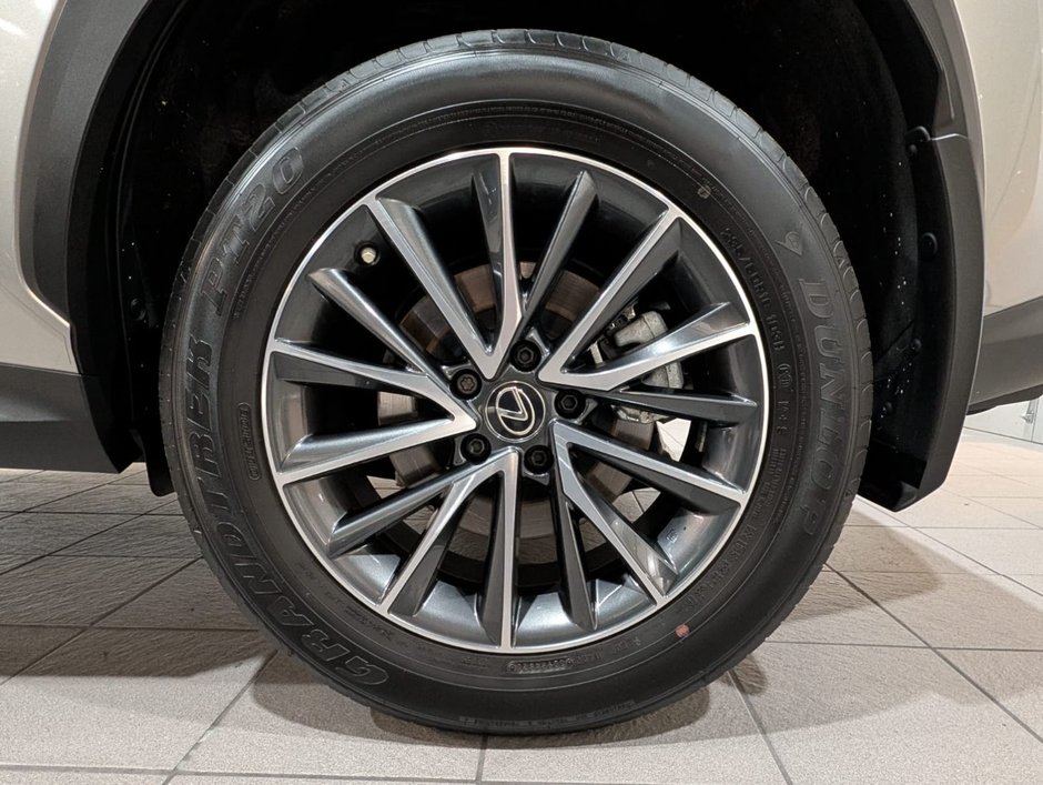 2022 Lexus NX 250-5