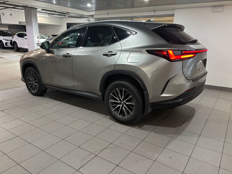 2023 Lexus NX 250-3