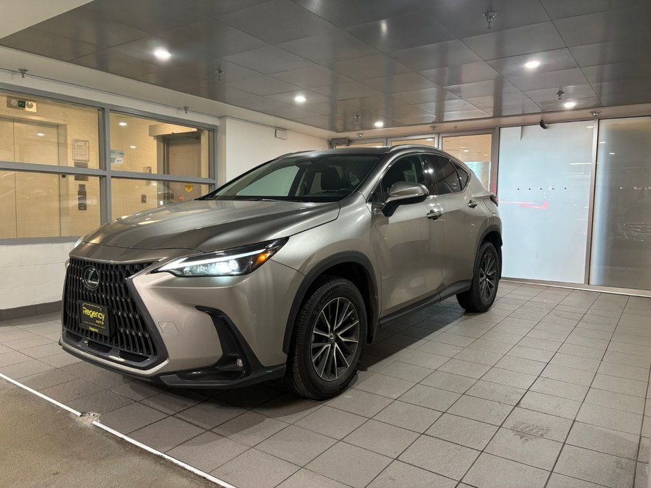 2023 Lexus NX 250-0